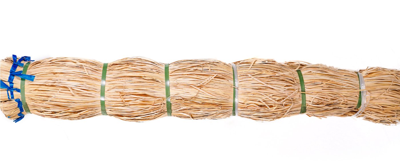 single-case-feature-image-1